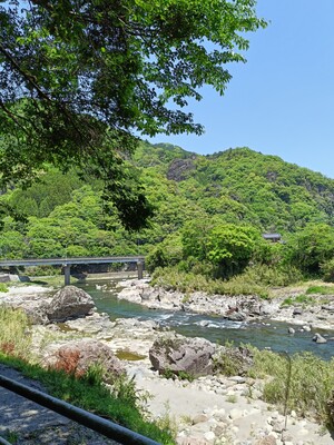 IMG20250504120749.jpg