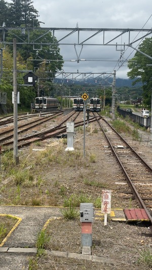 IMG_2416.jpeg