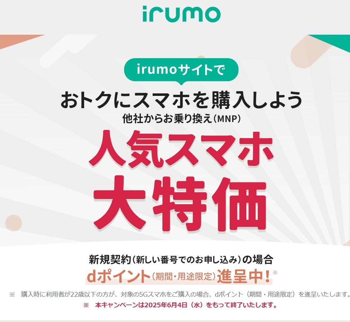 ebayで入札しようとした際にこのように表示されたのですが、購入