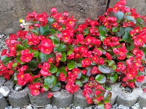 250601162226575.JPG