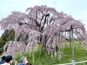 IMG_7852.jpeg