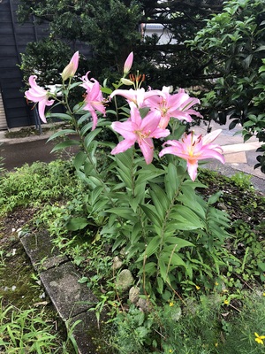 IMG_5632.jpeg