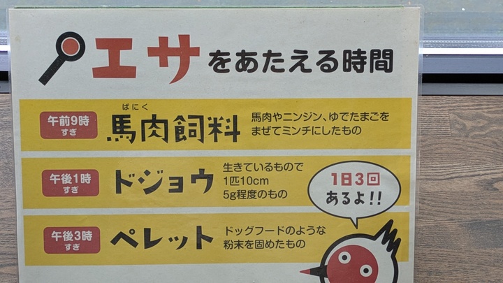 PXL_20250604_051240260.MP.jpg