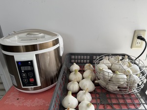 IMG_2025.jpeg