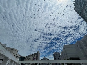CB857842-E84A-4A29-B351-997F8C476474.jpeg