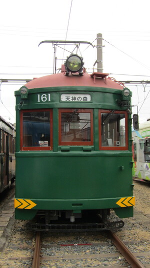 IMG_3174.jpeg