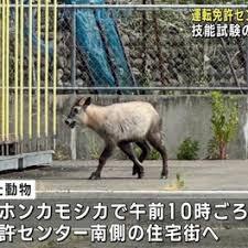 images_(9).jpeg