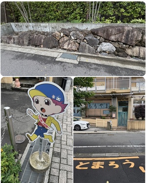 IMG_2153.jpeg