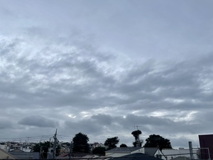 C4086440-21C3-4497-9003-466B4AFEB3D1.jpeg
