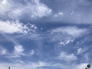 IMG_1818.jpeg