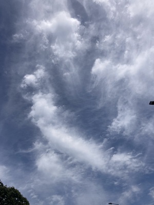IMG_1819.jpeg