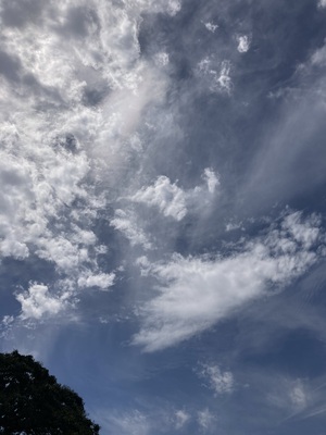 IMG_1820.jpeg