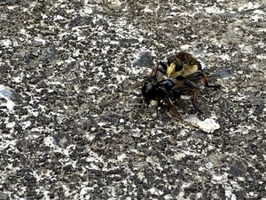 IMG_2680.jpeg