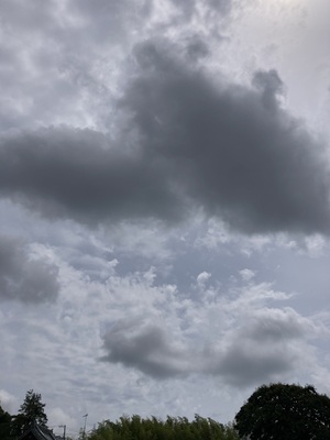 IMG_1829.jpeg