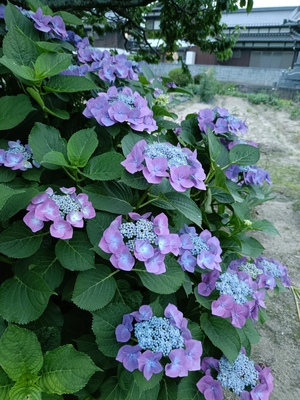 IMG20250613192326.jpg