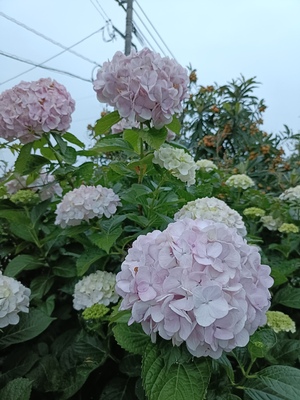 IMG20250613192336.jpg