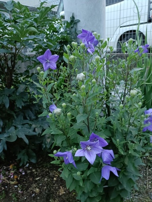 IMG20250613192427.jpg