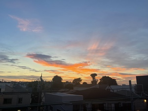 4A99ABA0-6C60-4B47-B70E-0B5B0AC290E7.jpeg
