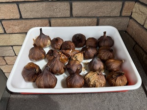 IMG_2196.jpeg