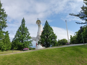 IMG20250601075916.jpg