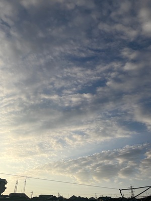 09932973-0A01-4EC7-AD97-5B158D5C68A7.jpeg