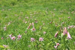 IMG_0365.jpeg
