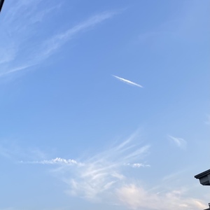 4B99CEB5-06AB-42CF-BC3D-5C954EBA68C7.jpeg