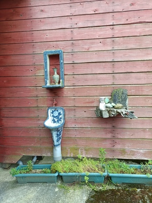 IMG20250622122924.jpg