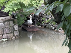 IMG_0186.jpeg