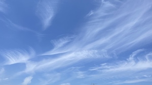 E201380A-A27F-4778-A5F5-40CEDADD0B1A.jpeg