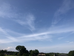 IMG_2033.jpeg