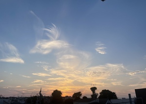 D37DB174-692F-4FFA-84FA-27279E84D58C.jpeg