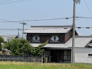 IMG_2985.jpeg