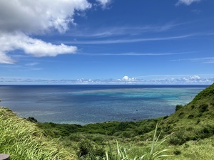 IMG_2230.jpeg