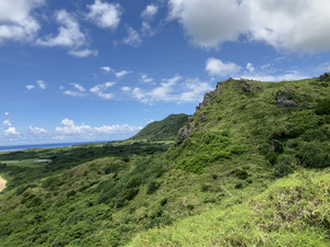 IMG_7993.png