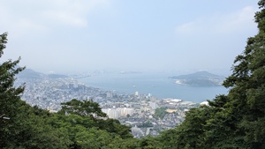PXL_20250701_015535091.jpg
