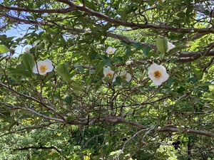 IMG_3058.jpeg