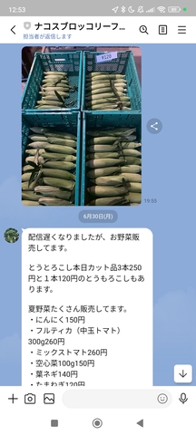 Screenshot_2025-07-02-12-53-40-803_jp.naver.line.android.jpg