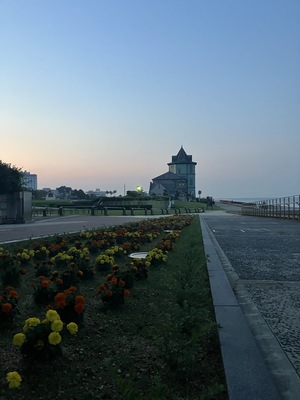 IMG_0065.jpeg
