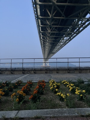 IMG_0063.jpeg