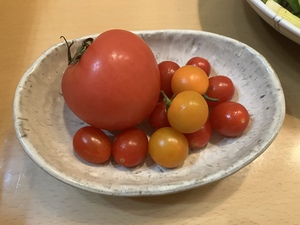 IMG_9529.jpeg