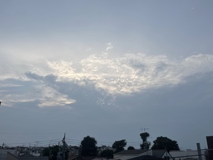 729CE667-D7C4-480B-BCFA-2613604C9BE9.jpeg