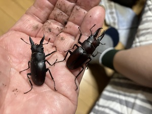 IMG_3169.jpeg