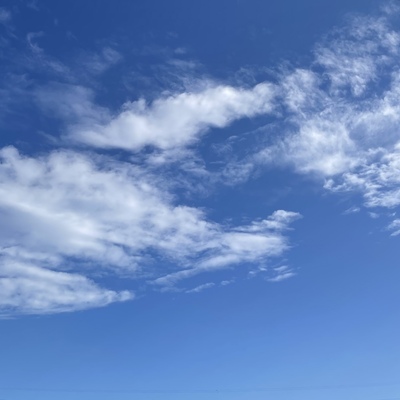 ED01C16F-F95B-401A-B3D7-9036288C2121.jpeg