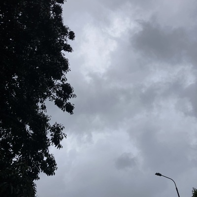 IMG_1900.jpeg