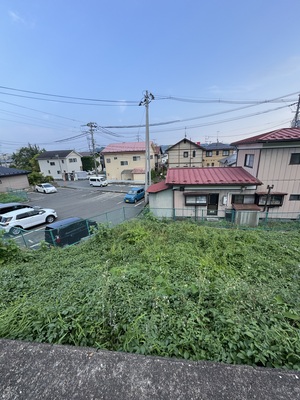 IMG_8755.jpeg