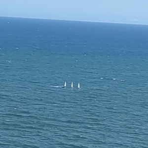 DSC_3104.JPG