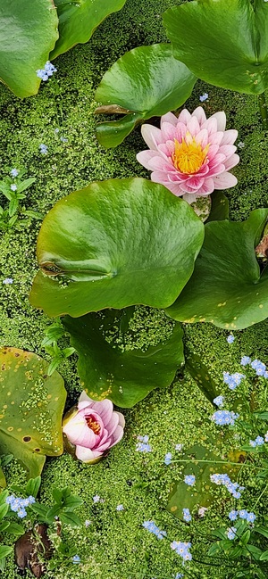20250718_144151.jpg