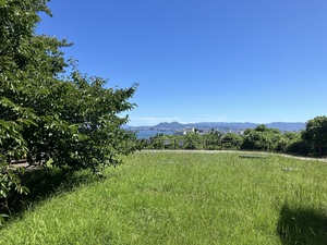 IMG_2342.jpeg