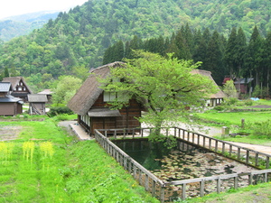 IMG_1302.JPG